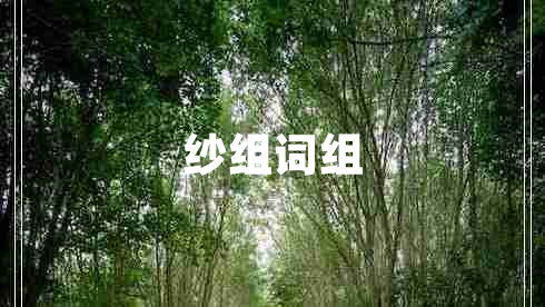 紗組詞組