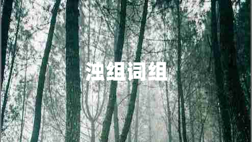 濁組詞組