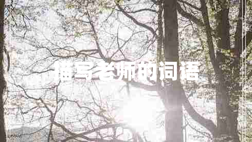 描寫(xiě)老師的詞語(yǔ)