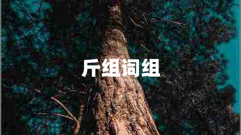 斤組詞組