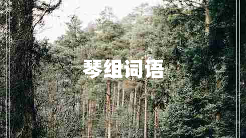琴組詞語(yǔ)