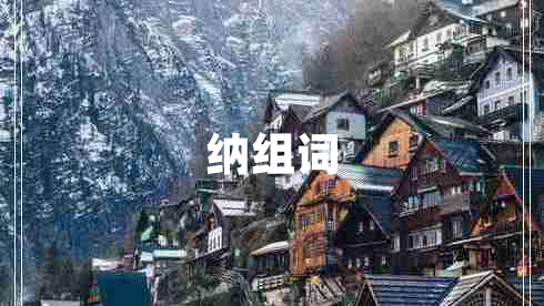 納組詞