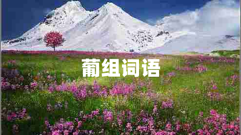 葡組詞語(yǔ)