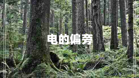 電的偏旁