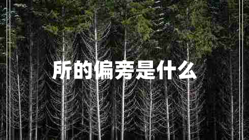 所的偏旁是什么