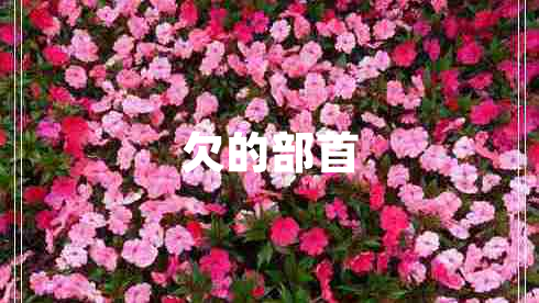欠的部首