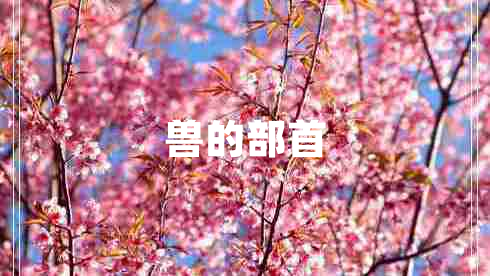 獸的部首
