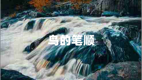 鳥(niǎo)的筆順