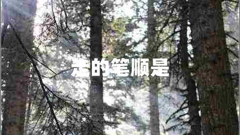 走的筆順是