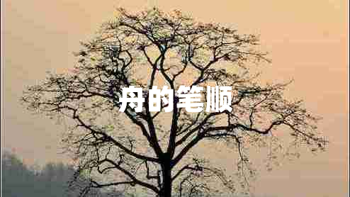 舟的筆順