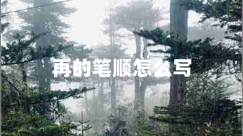 再的筆順怎么寫(xiě)
