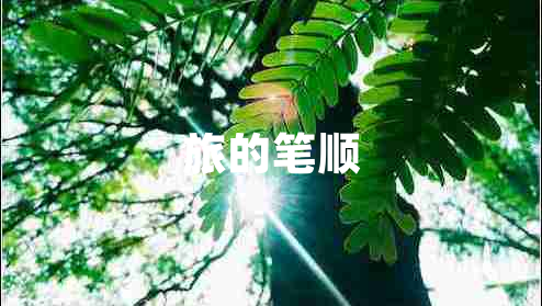 旅的筆順