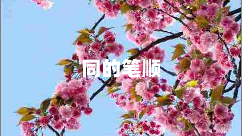 同的筆順