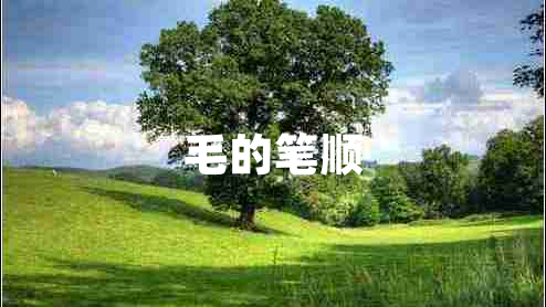 毛的筆順