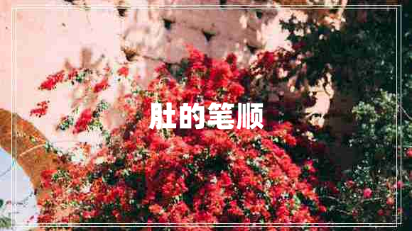 肚的筆順