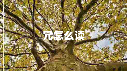 冗怎么讀