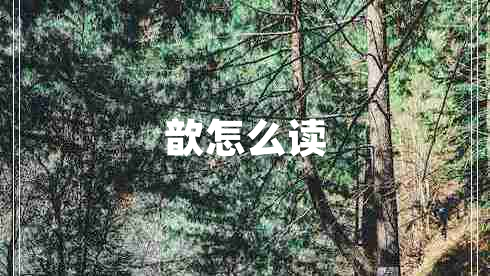 歆怎么讀