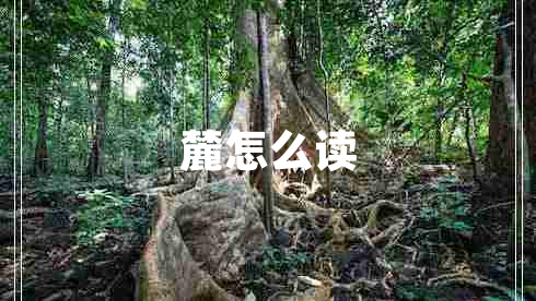 麓怎么讀