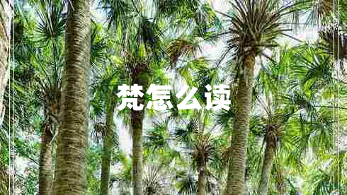 梵怎么讀