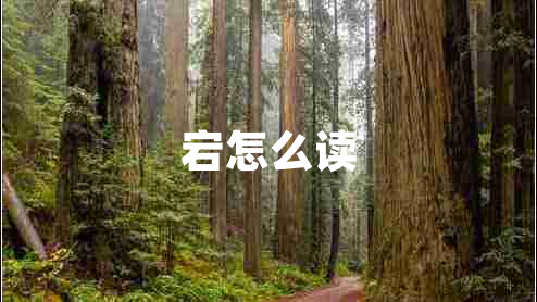 宕怎么讀
