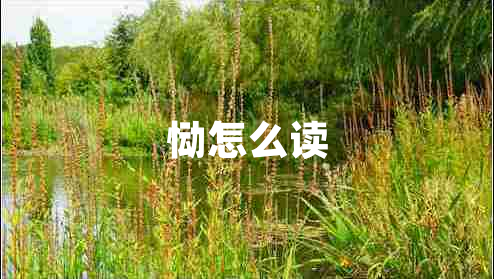 慟怎么讀