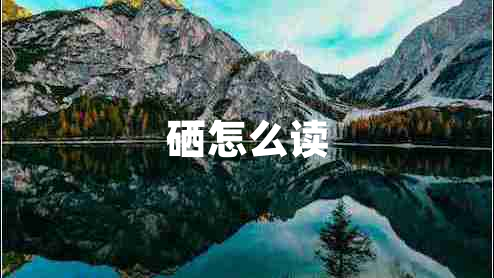 硒怎么讀
