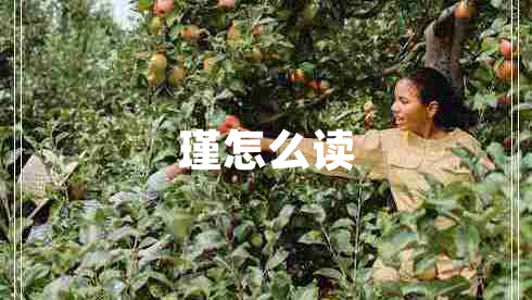 瑾怎么讀