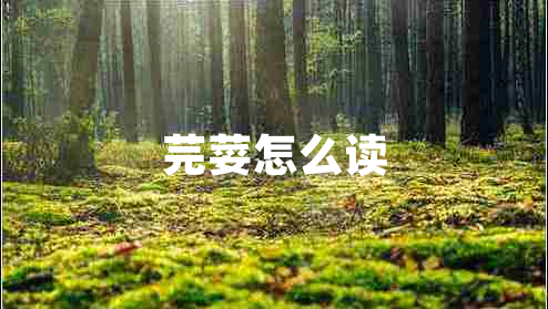 芫荽怎么讀
