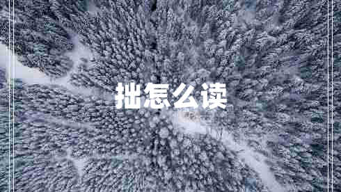 拙怎么讀
