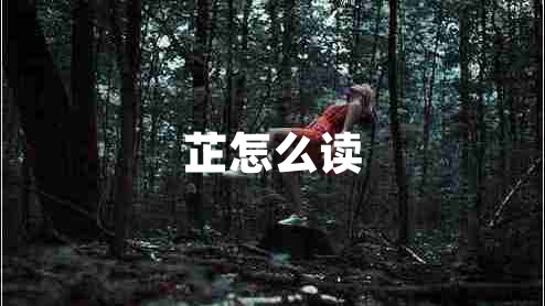 芷怎么讀