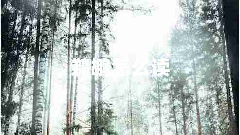 鵜鶘怎么讀