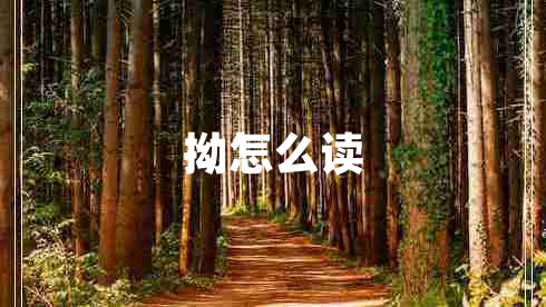 拗怎么讀