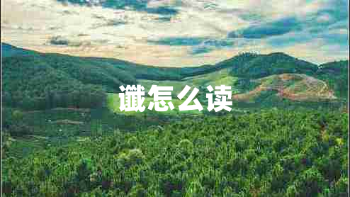 讖怎么讀