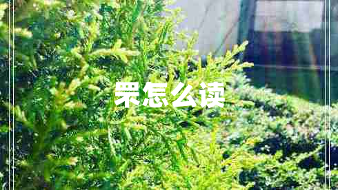 罘怎么讀