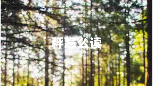 秤怎么讀