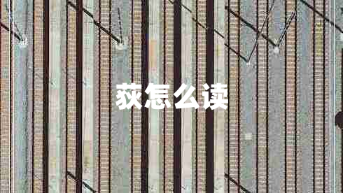 荻怎么讀