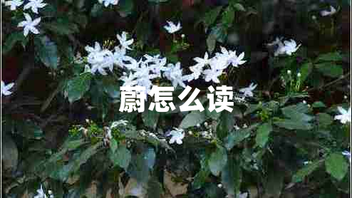蔚怎么讀