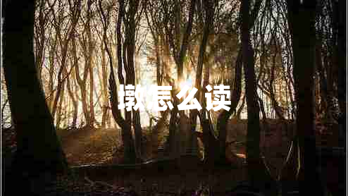 墩怎么讀
