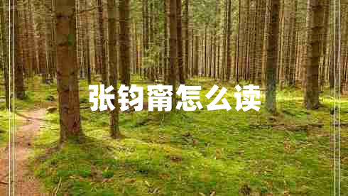張鈞甯怎么讀
