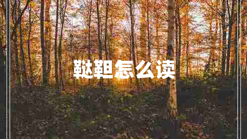 韃靼怎么讀