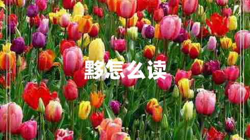黟怎么讀