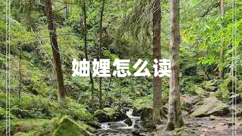 妯娌怎么讀