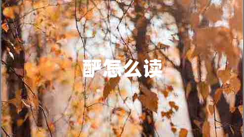 釅怎么讀