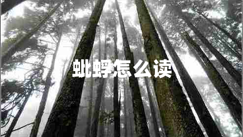 蚍蜉怎么讀