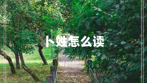 卜姓怎么讀
