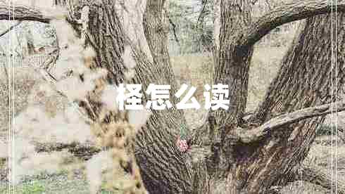 檉怎么讀