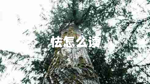 怯怎么讀