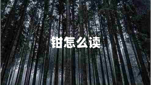 鉗怎么讀