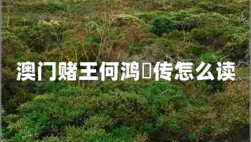 澳門(mén)賭王何鴻燊傳怎么讀