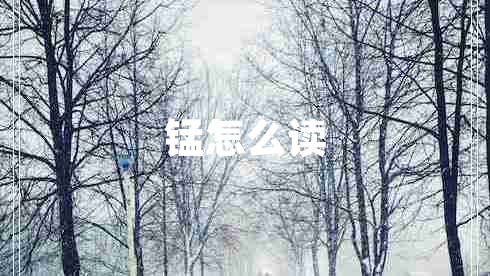 錳怎么讀